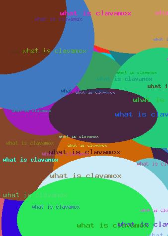 What is clavamox